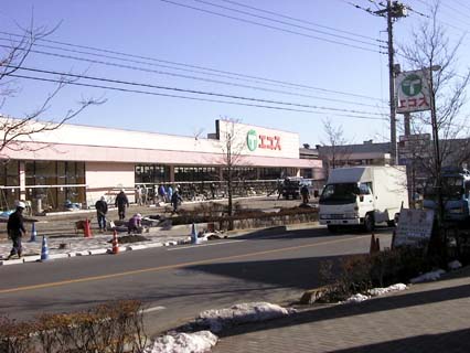 The new mall