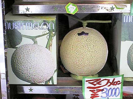 011007pkgmelonA