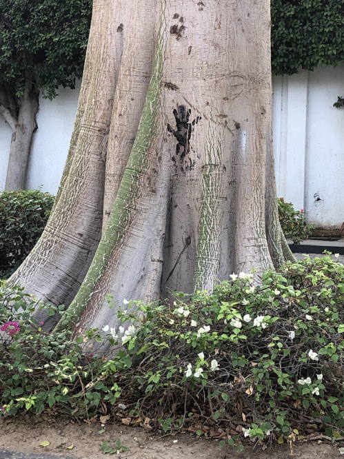TreeMark