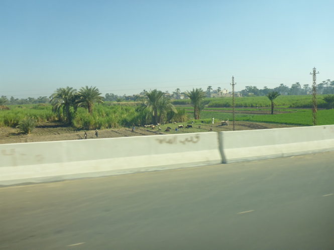 NileValley