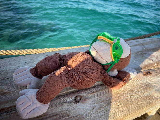 Monkey