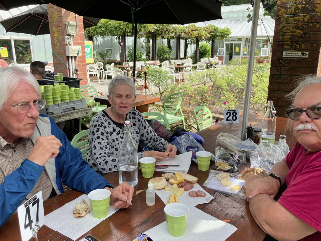 20250403PicnicLunch