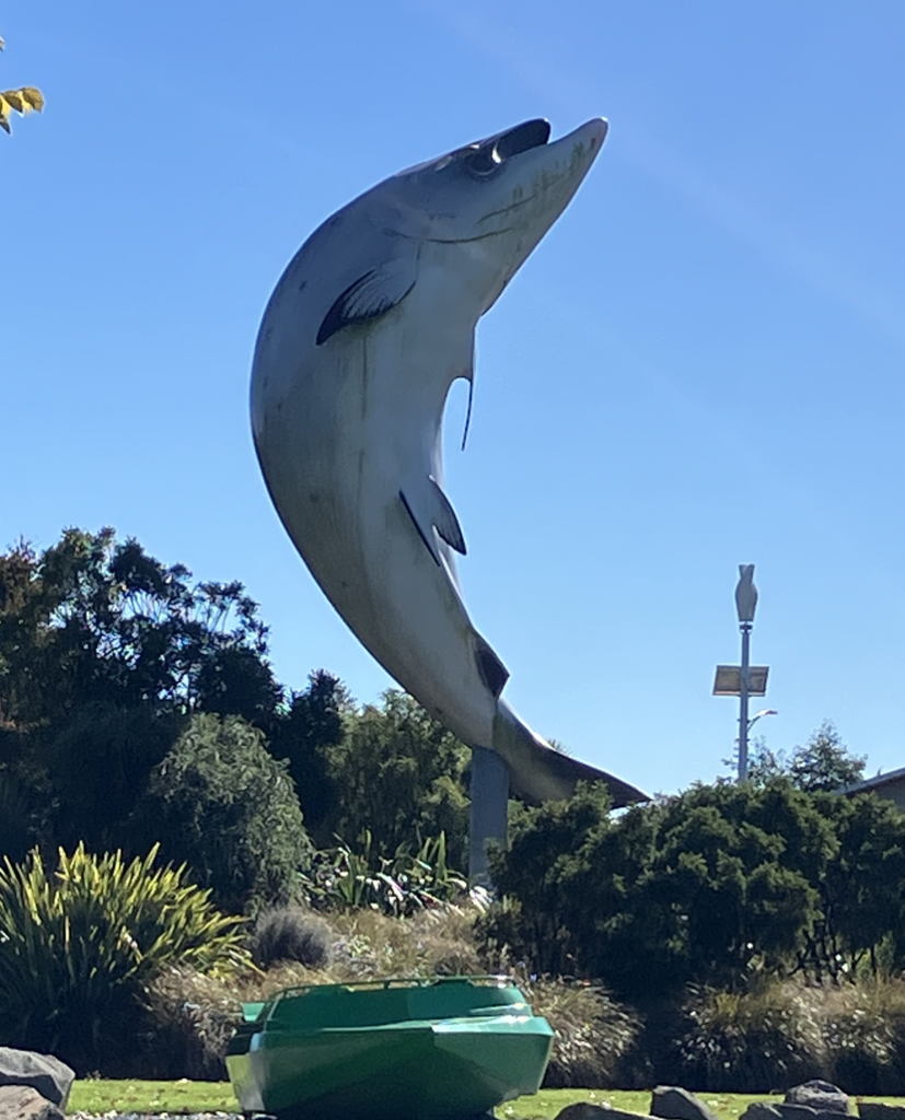 20250410FairleTrout