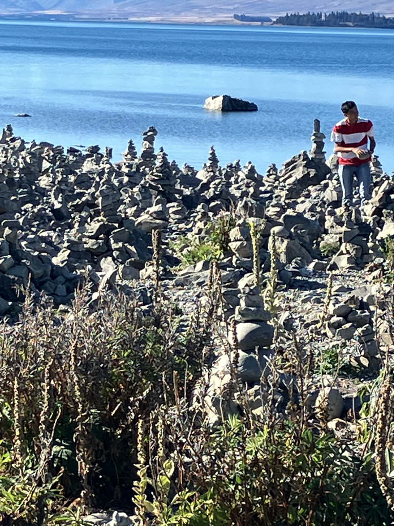 20250410LakeTekapoWaldo