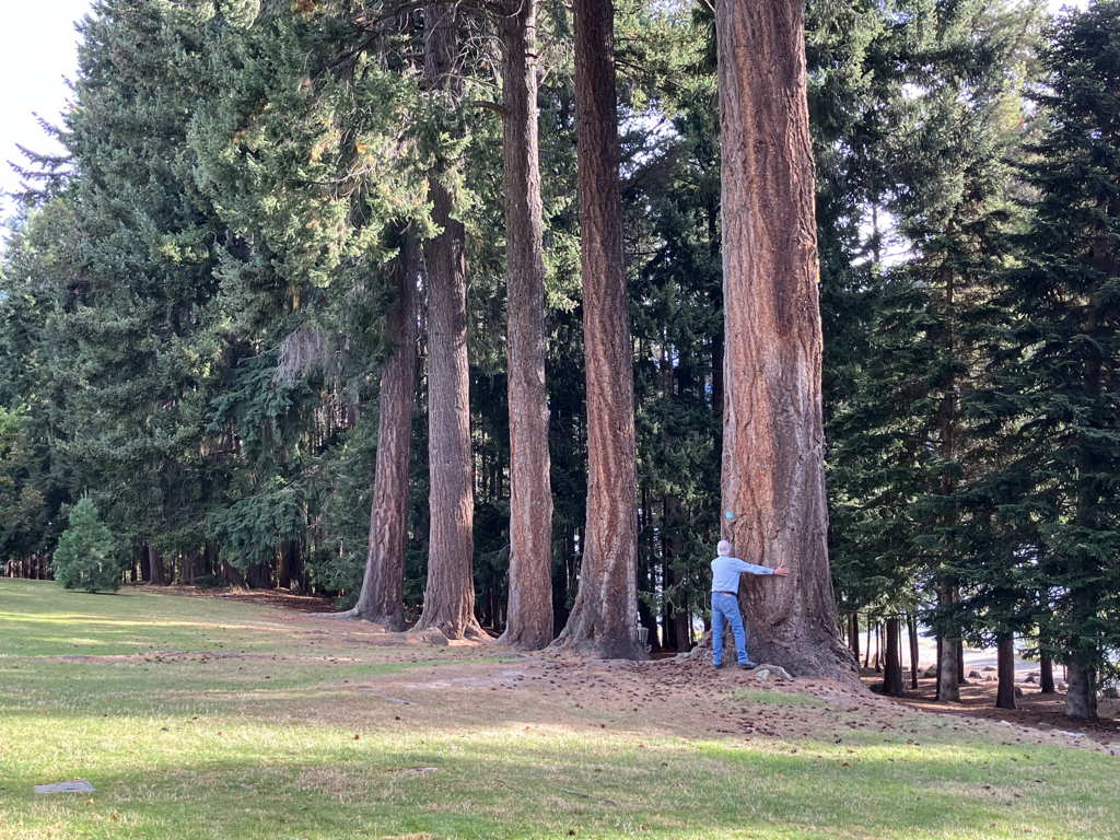 20250413Sequoia