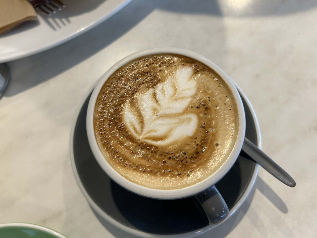 20250421LatteFern