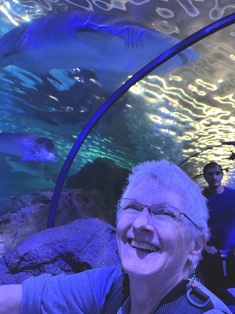 20250424NurseShark